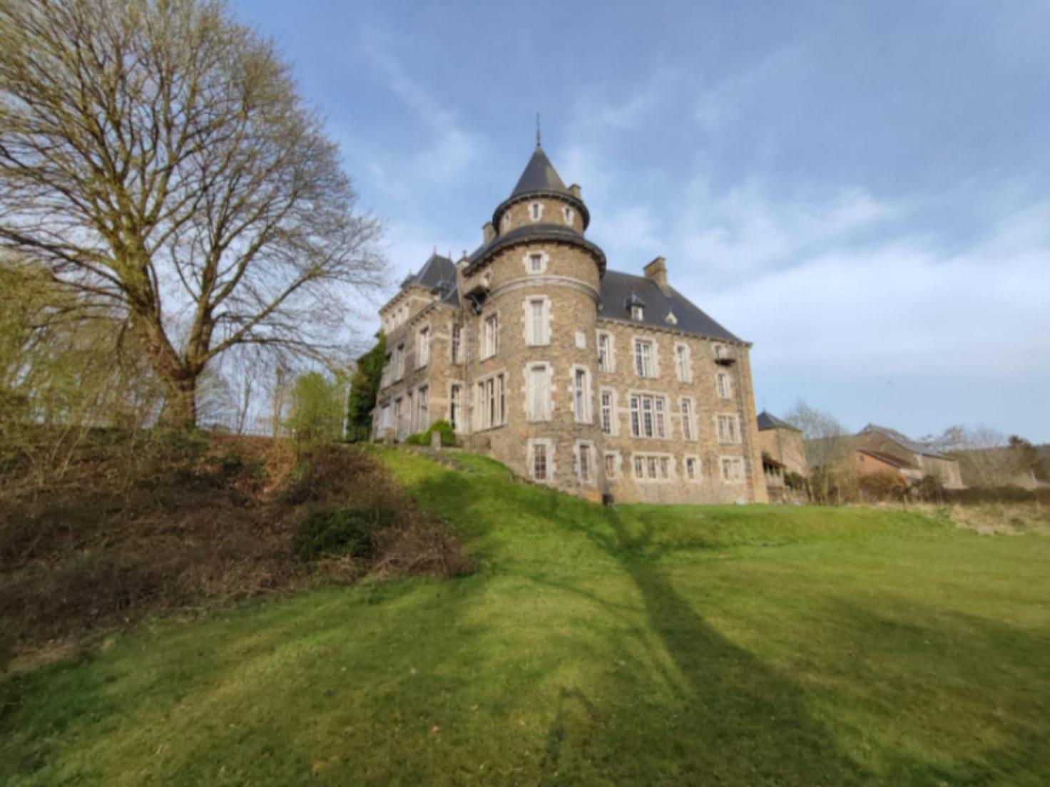 Villa Le Petit Chateau De Blier Érezée Exterior foto