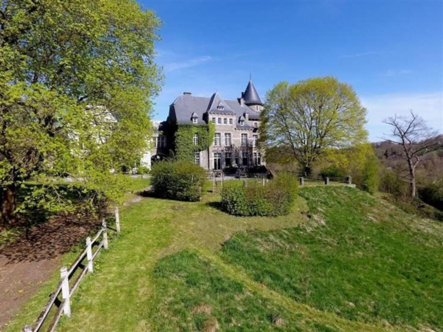 Villa Le Petit Chateau De Blier Érezée Exterior foto